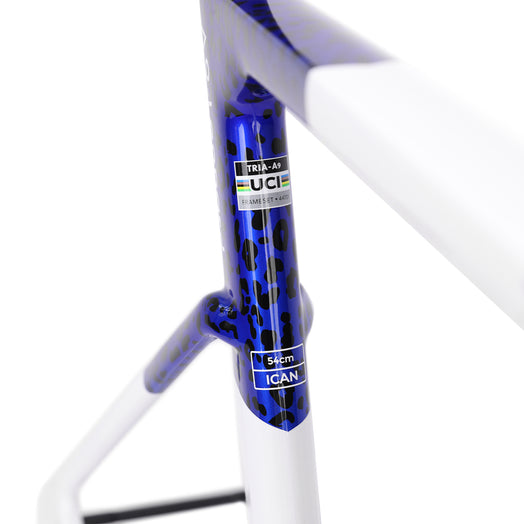 ICAN A9 UCI ROAD BIKE DISC FRAME