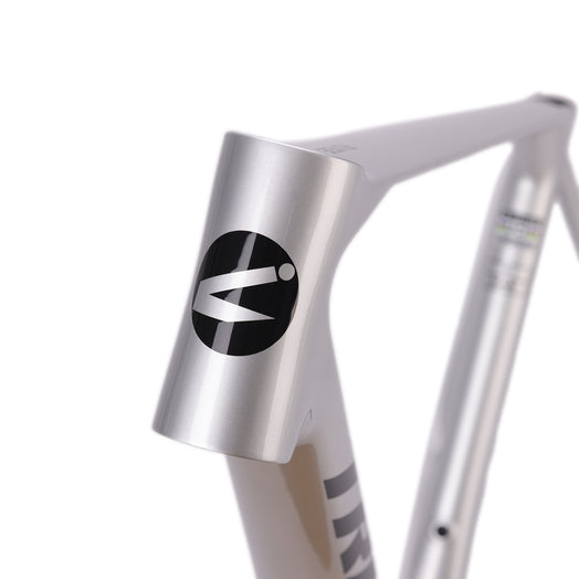 ICAN Flyee road bike disc frame