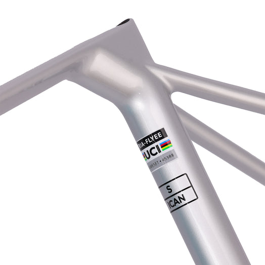 ICAN Flyee road bike disc frame