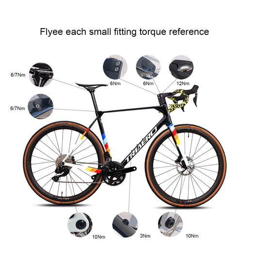 ICAN UCI ROAD BIKE DISC FRAME FLYEE Torque